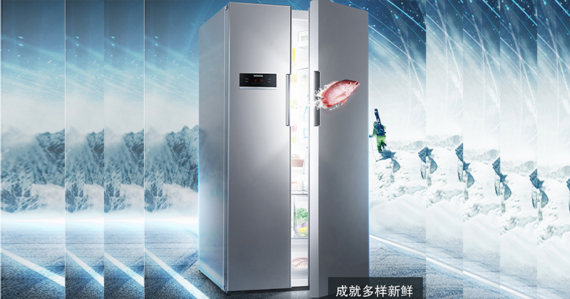 西门子 对开门KA92NV90TI 610 (升)电冰箱
