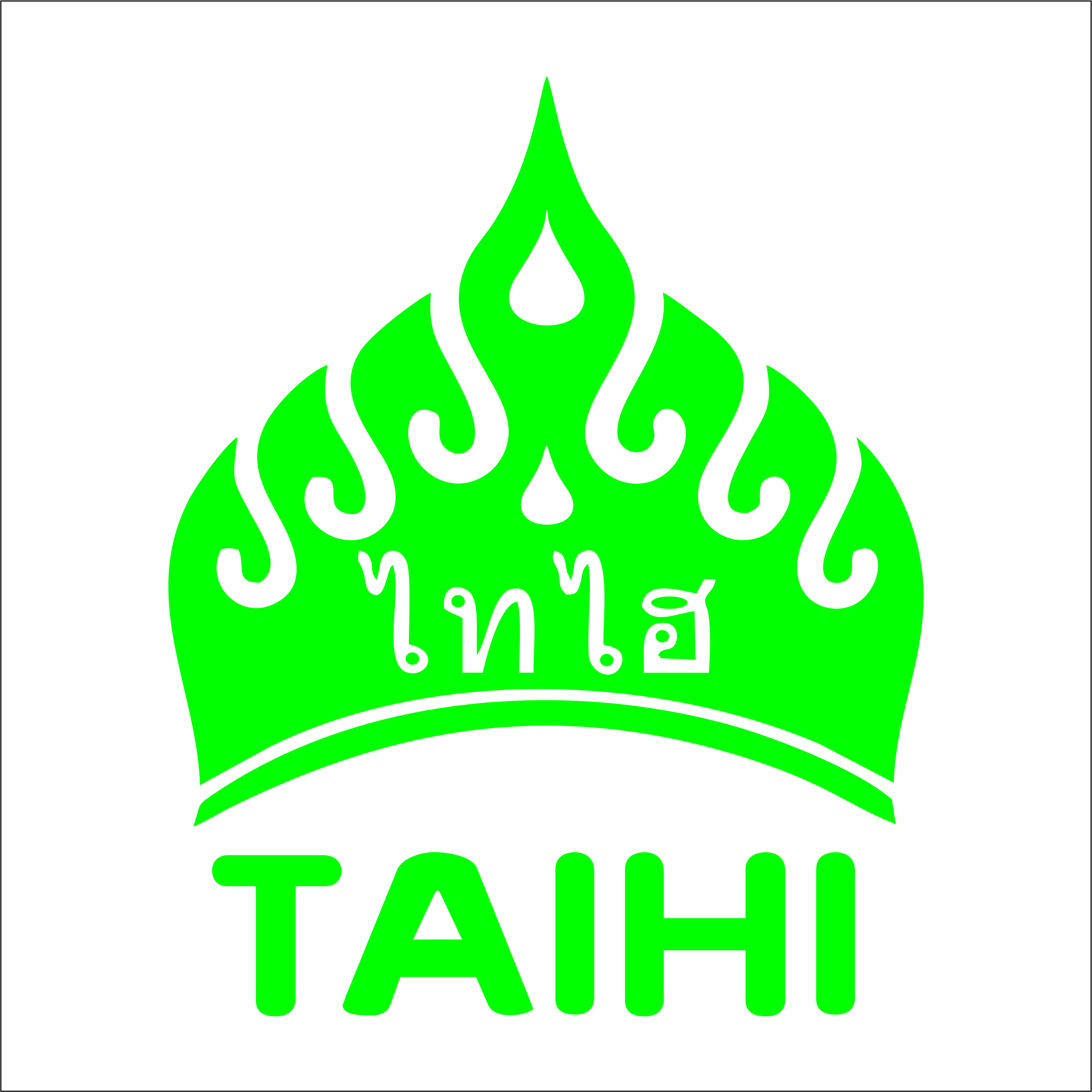 泰国TAIHI天然乳胶产品